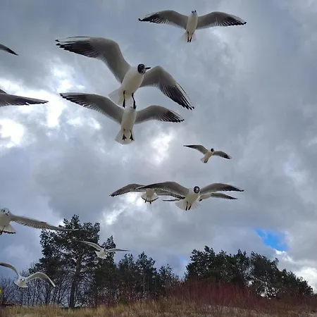 Апартаменты Prestige & Sea Playa Baltis 44