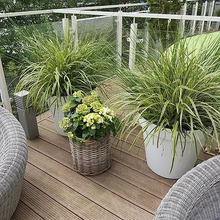 Prestige & Sea Playa Baltis 44 Appartement Miedzyzdroje