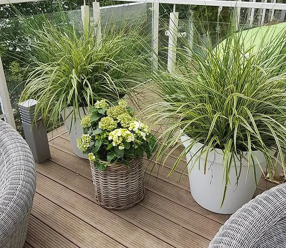 Prestige & Sea Playa Baltis 44 Daire Miedzyzdroje